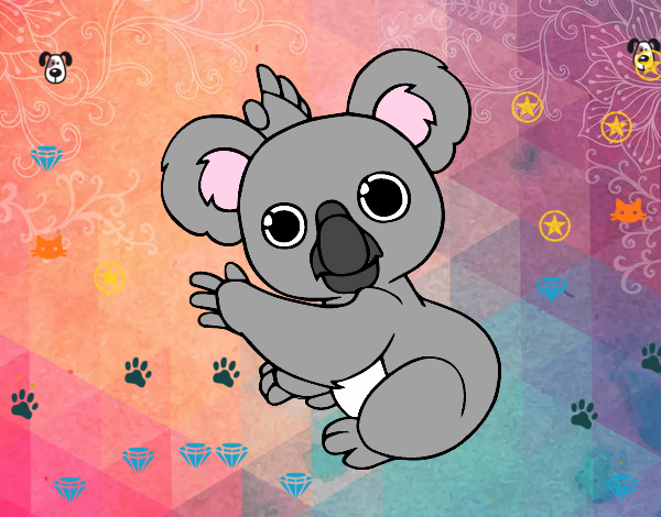 Un Koala