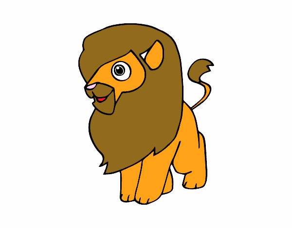 Un león