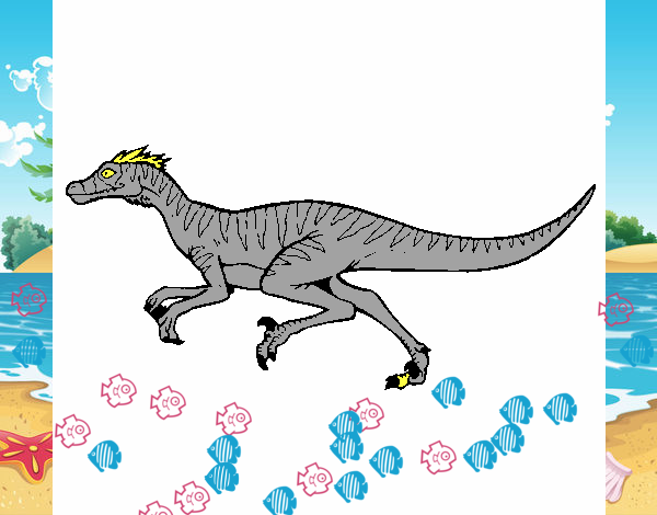 Velociraptor