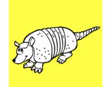 Armadillo