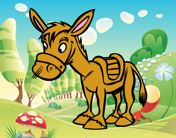 Burro de granja