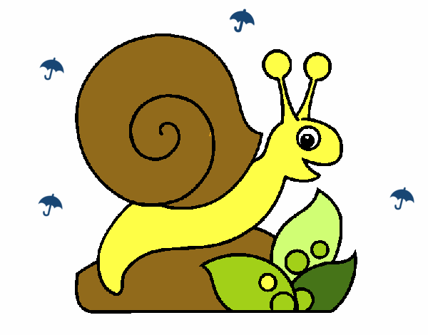 Caracol