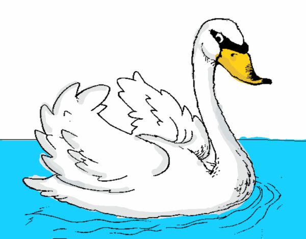 Cisne