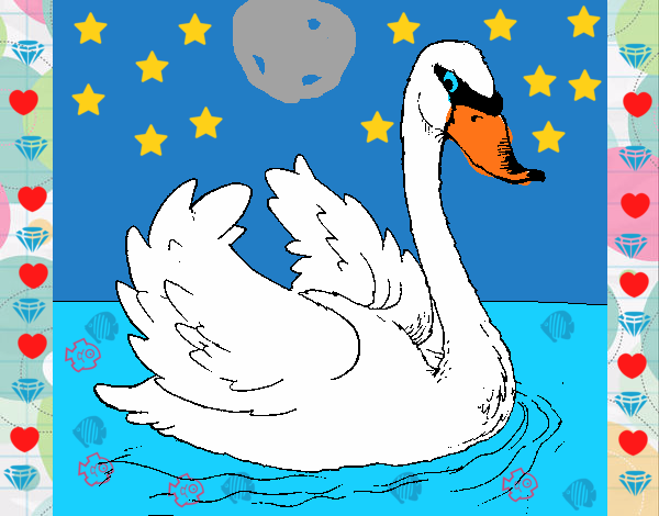 Cisne en el agua