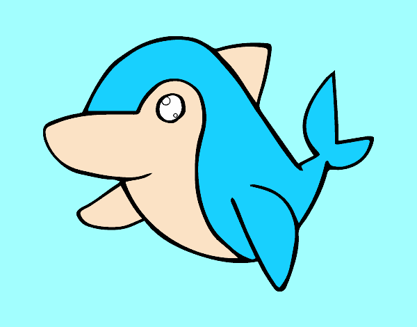 delfin comun