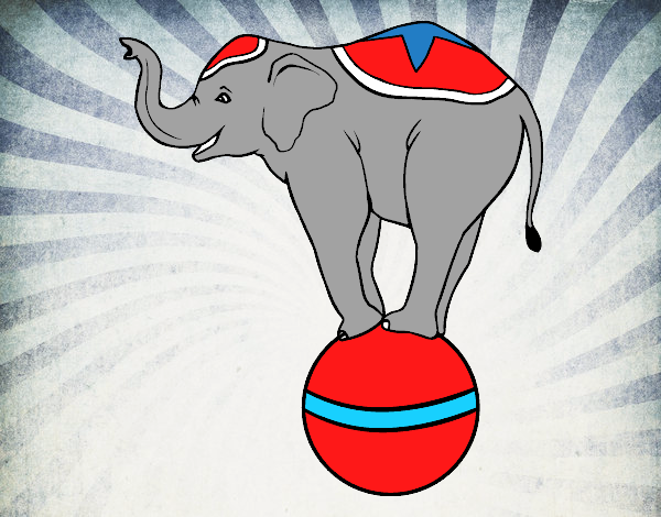 Elefante equilibrista