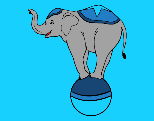 Elefante equilibrista