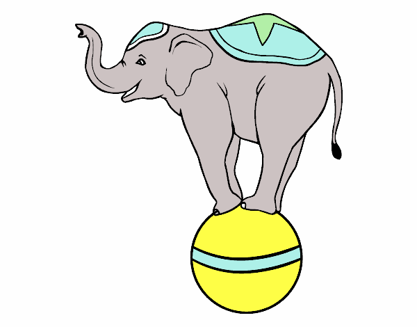 Elefante equilibrista