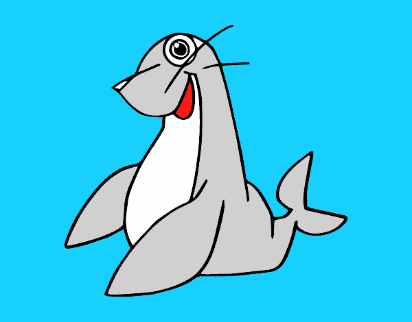 Foca monje