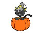 Gatito de Halloween