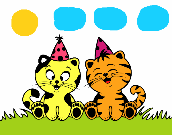 Gatos de cumpleaños