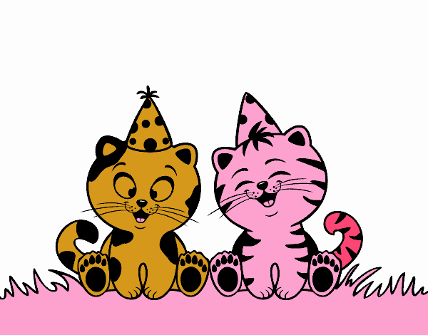 Gatos de cumpleaños