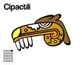 Dibujo Los días aztecas: el caimán Cipactli pintado por gorrito