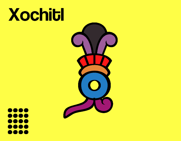 Los días aztecas: la flor Xochitl