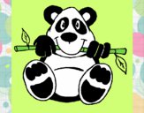 Oso panda