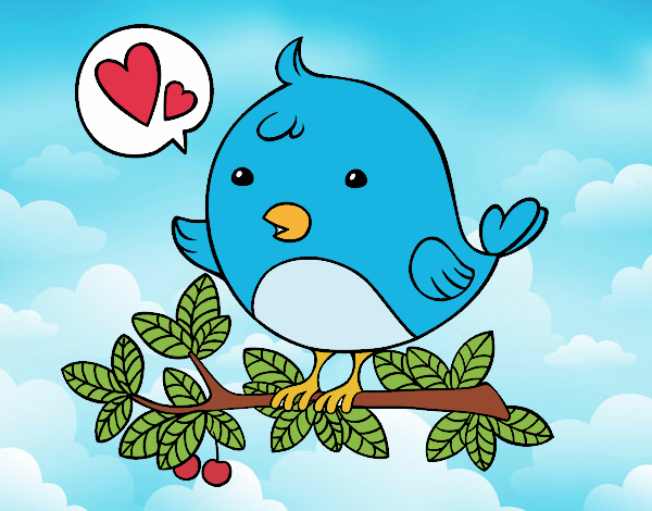 El bello pajaro de twitter¡¡¡¡¡