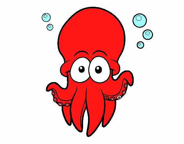 Pulpo rojo