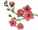Dibujo Rama de cerezo pintado por Linda CL