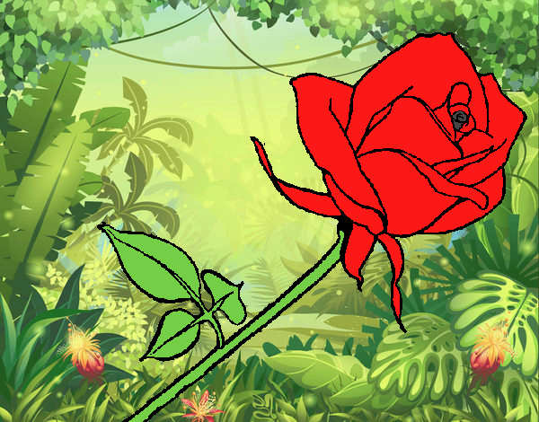 Dibujo Rosa pintado por yoslaidi