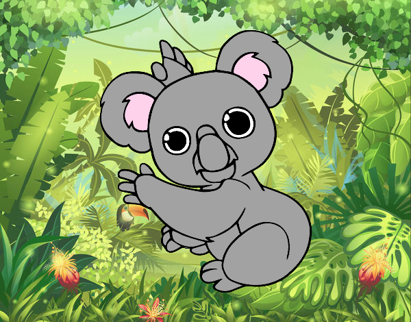 Un Koala