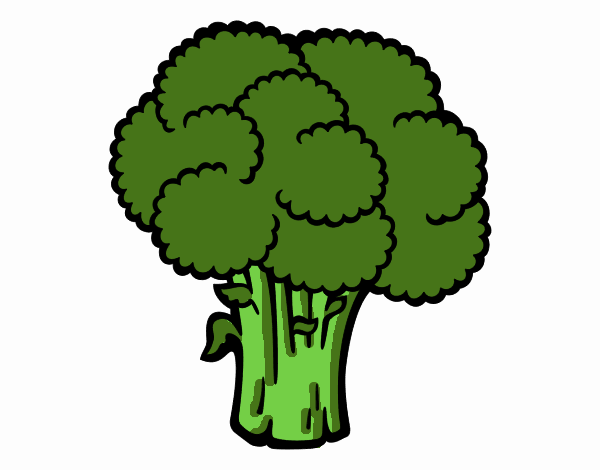 Dibujo de Verdura de brócoli pintado por en  el día 20-09-15 a  las 10:32:11. Imprime, pinta o colorea tus propios dibujos!