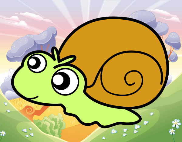 Caracol bebé