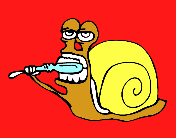 Caracol limpio