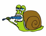 Caracol limpio