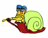 Caracol limpio