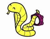 Cobra con pandereta