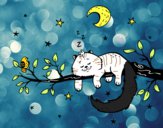 El gato y la luna