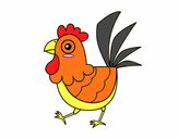 Gallina de granja