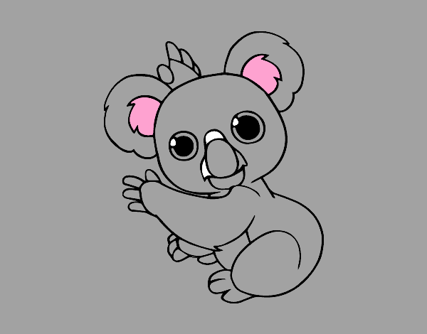 Un Koala