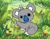 Un Koala