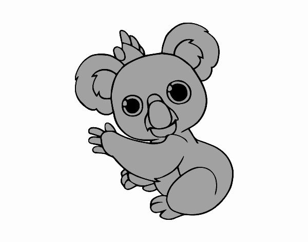 El super koala trepador de arbles