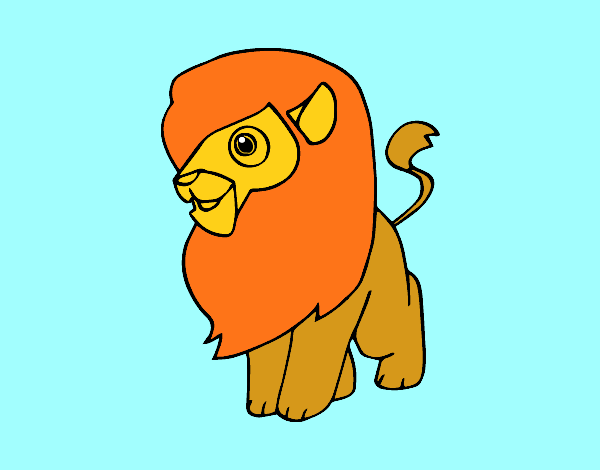 Un león