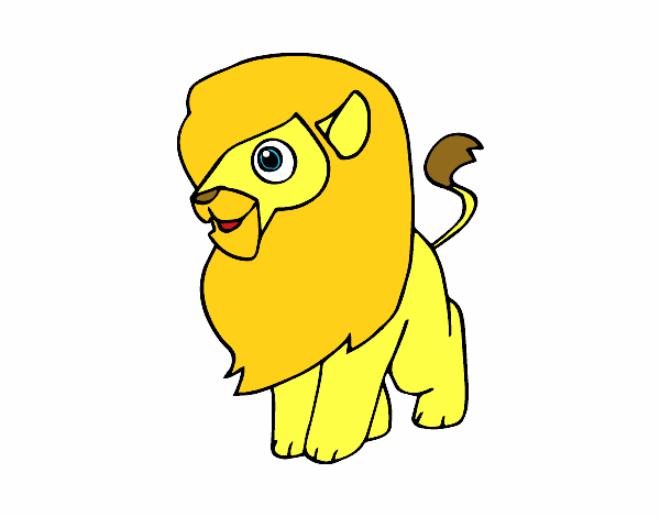 Un león