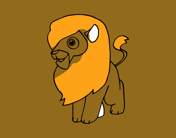 Un león