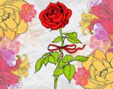 Dibujo Una rosa pintado por helio