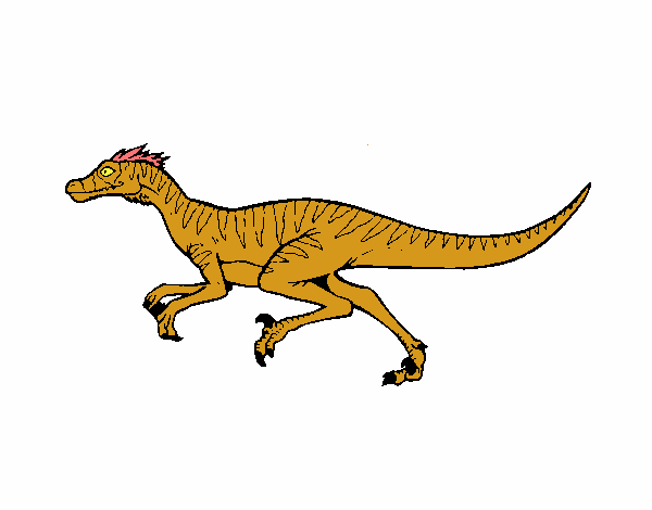 velocirraptor