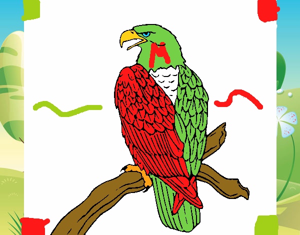 Dibujo de Aguila Mexicana pintado por en  el día 01-10-15 a las  07:22:34. Imprime, pinta o colorea tus propios dibujos!