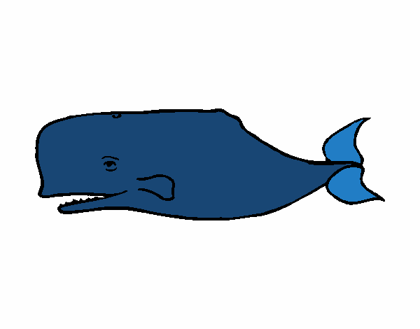 Ballena azul