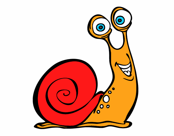 Caracol feliz