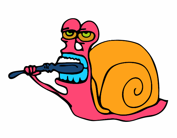 Caracol limpio