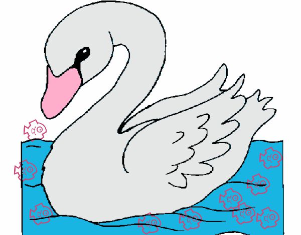 Cisne