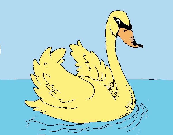 Cisne en el agua