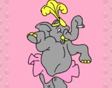 Elefante bailando