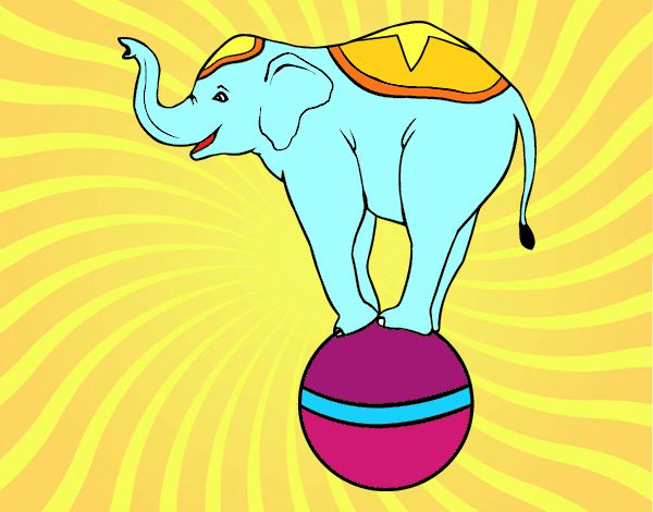 Elefante equilibrista