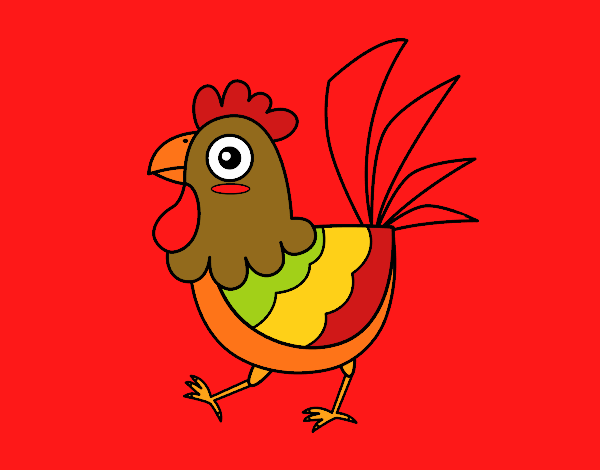 Gallina de granja