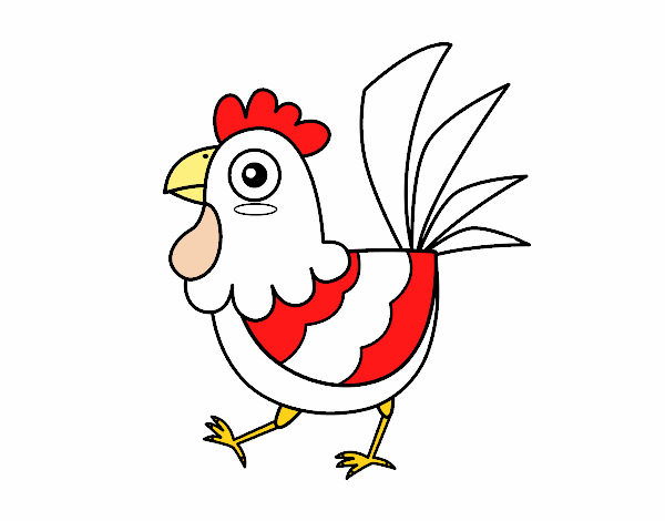 Gallina de granja